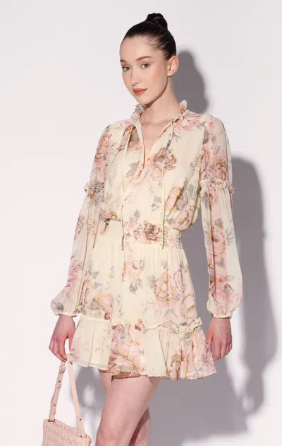 Walter Baker Darlene Dress, Desert Rose In Pink
