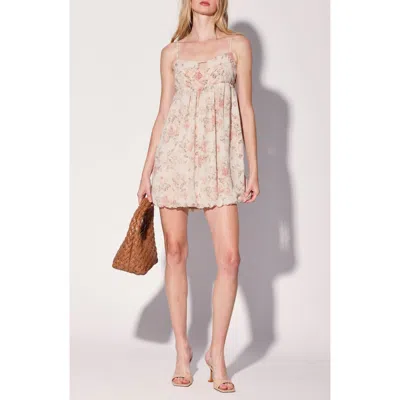 Walter Baker Elsa Dress In Blush Bouquet