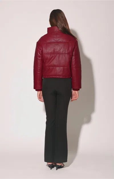 Walter Baker Jesse Jacket, Garnet - Leather In Multi