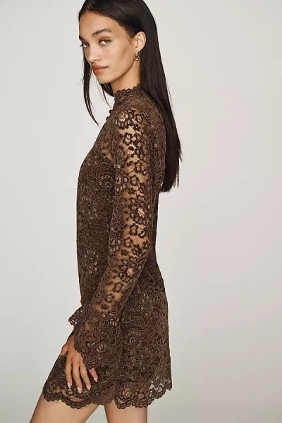 Walter Baker Keyhole Lace Mini Dress In Brown