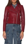 Walter Baker Liz Leather Crop Moto Jacket In Garnet