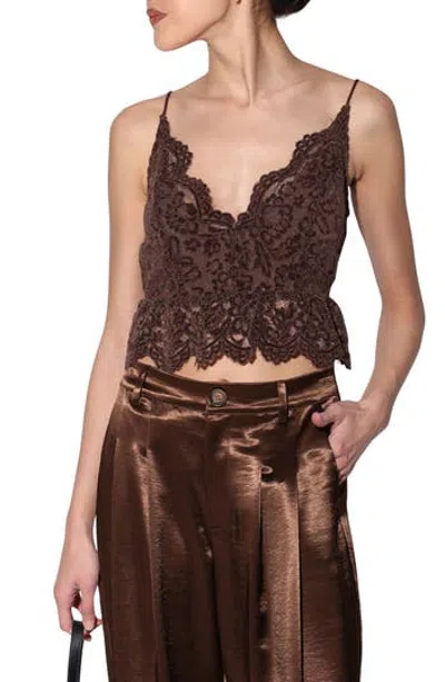Walter Baker Lola Scalloped Lace Camisole In Brown