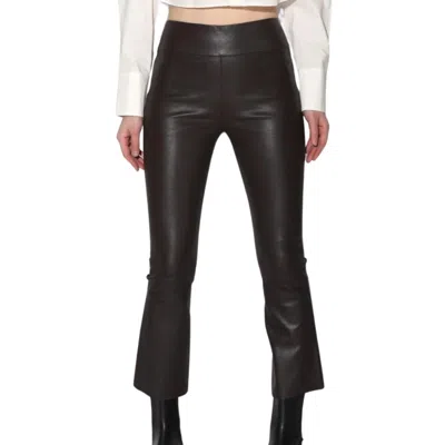 Walter Baker Luisa Pant In Mocha In Black