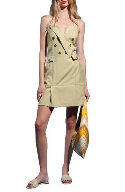 Walter Baker Nichelle Halter Dress In Neutral