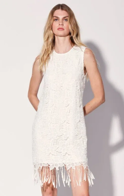 Walter Baker Odessa Dress In Magnolia Lace