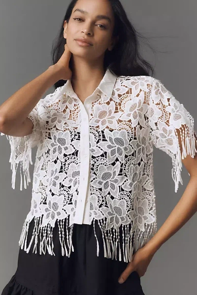 Walter Baker Ollie Short-sleeve Lace Fringe Top In White