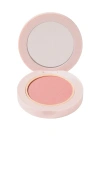 Wander Beauty Blush All Day Hydrating Powder Blush In Beauty: Na