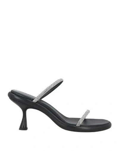 Wandler Woman Sandals Black Size 8 Textile Fibers