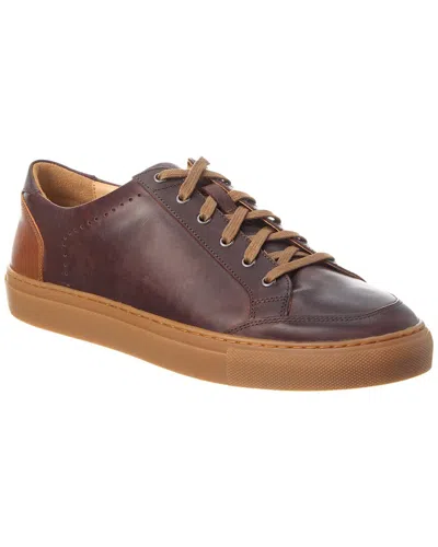 Warfield & Grand Alta Leather Sneaker In Brown