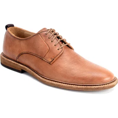 Warfield & Grand Carvell Derby In Brown
