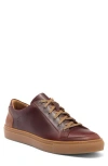 Warfield & Grand Rockcastle Low Top Sneaker In Chestnut