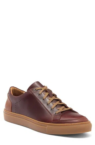 Warfield & Grand Rockcastle Low Top Sneaker In Chestnut