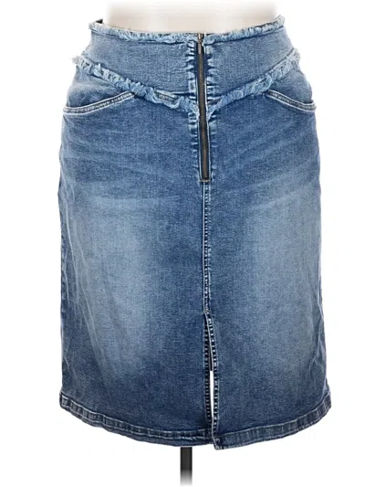 Pre-owned Wash Lab Denim Skirt In Blue