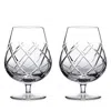 Waterford Connoisseur Olann Balloon-rim Crystal Tumblers Set Of Two