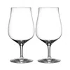 Waterford Craft Brew Hybrid Glass, Set Of 2 In Clear