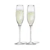 Waterford Elegance Optic Crystal Champagne Flute Set Of Two In Clear