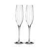 Waterford Elegance Optic Crystal Champagne Flute Set Of Two In Clear