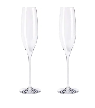 WATERFORD WATERFORD CRYSTAL ELEGANCE CHAMPAGNE FLUTES