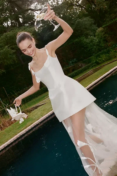 Watters Miranda A-line Tulle Maxi Dress In White