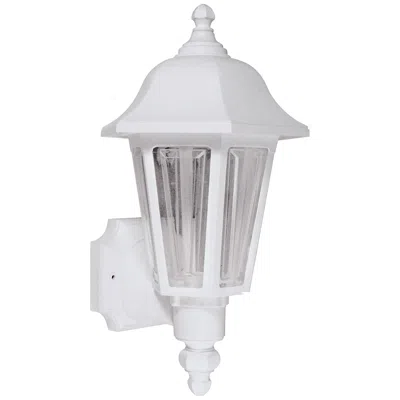 Wave Lighting Brentwood 21 1/2" Marine Grade White Finish Traditional Outdoor Light
