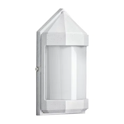 Wave Lighting Everstone Whitestone Opal 14.25" Marine Grade Outdoor Wall Light