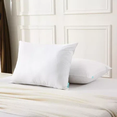Waverly Feather And Down Blend Pillow Set Of 2 In White