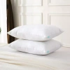 Waverly Feather And Down Blend Pillow Set Of 2 In White
