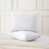 Waverly Feather Down Blend Pillow Set Of 2 In White