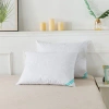 Waverly Medium Support Pillow In White