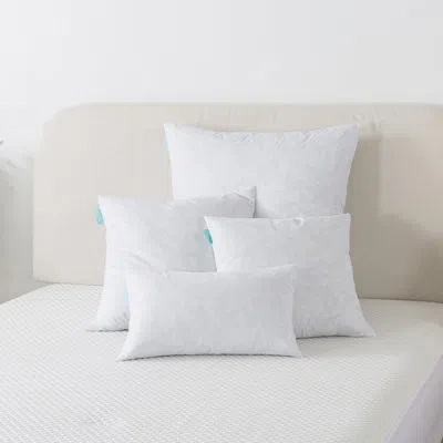 Waverly Pillow Insert In White