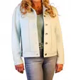 Way Suede Applique Cactus Jacket In Mint In Green