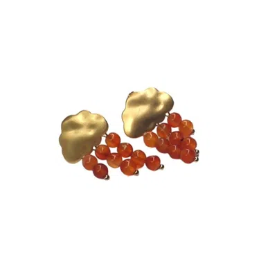 Way To Chic Women's Brown / Gold Carnelian On Clouds Stud Earrings