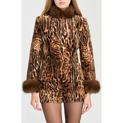 Wayf X Rose Lola Naomi Faux Fur Trim Jacket In Leopard