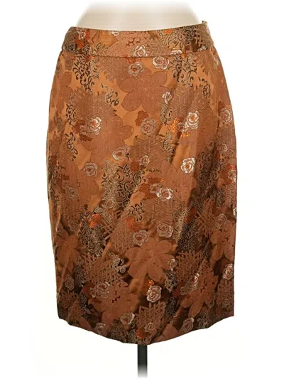 Pre-owned Wdny Formal Skirt In Brown