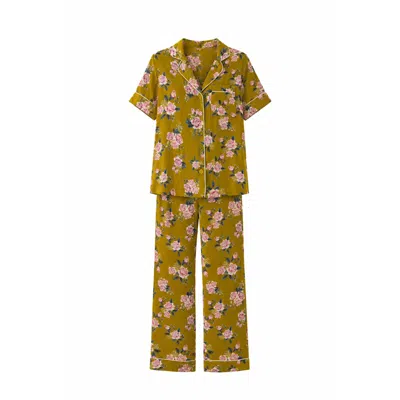 We Are Kindred Women's Amber Petal Pyjama Set In Brown