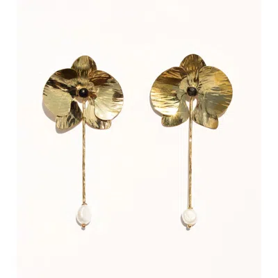 We Are Nbo Deviendra Earrings In Gold