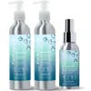 We Are Paradoxx Cleansing & Styling Trio