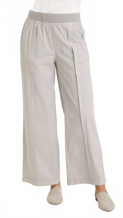 Wearables Bay Poplin Straight Leg Pant In Soft Pebble Pigment In White