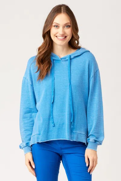 Wearables Burnout Sidel Hoodie In Blue