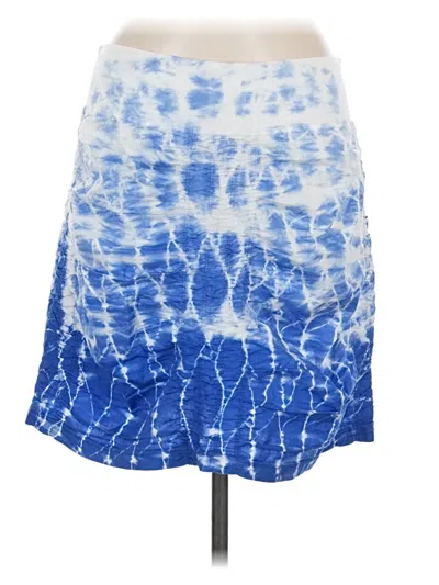 Pre-owned Wearables Casual Skirt In Blue