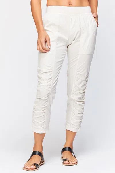 Wearables Geyser Crop