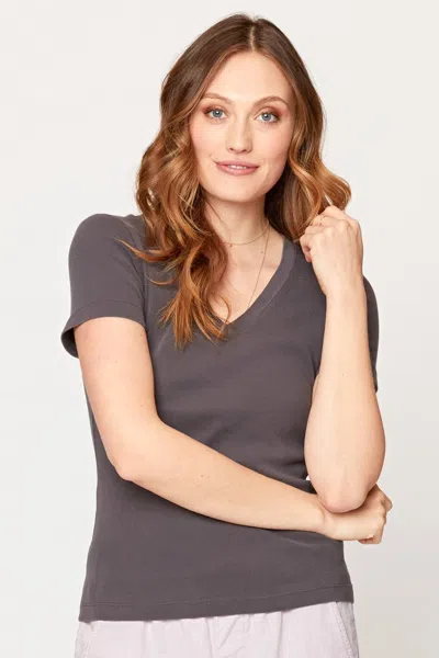Wearables Organic Ioda Short Sleeve V-neck In Grey
