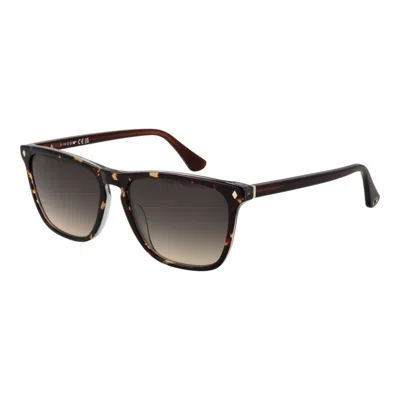 WEB ACETATE MEN'S SUNGLASSES