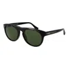Web Brown Acetate Sunglasses In Green