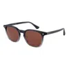 Web Gray Men Sunglasses In Brown