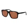 Web Acetate Men's Sunglasses In Brown