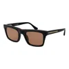 Web Black Acetate Sunglasses In Brown