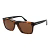 Web Brown Acetate Sunglasses In Brown