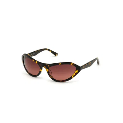 Web Eyewear Ladies' Sunglasses  We0288-6052f  60 Mm Gbby2 In Brown