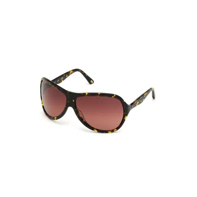 Web Eyewear Ladies' Sunglasses  We0290-6552f  65 Mm Gbby2 In Brown